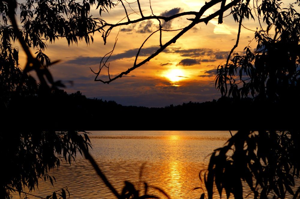 Photograph by Александр Лабутин