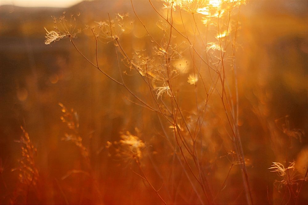 Photograph by Евсеева Валентина