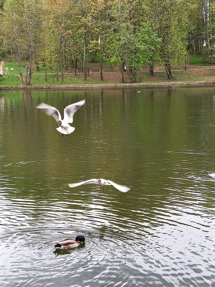 Photograph by Ольга Юрченко