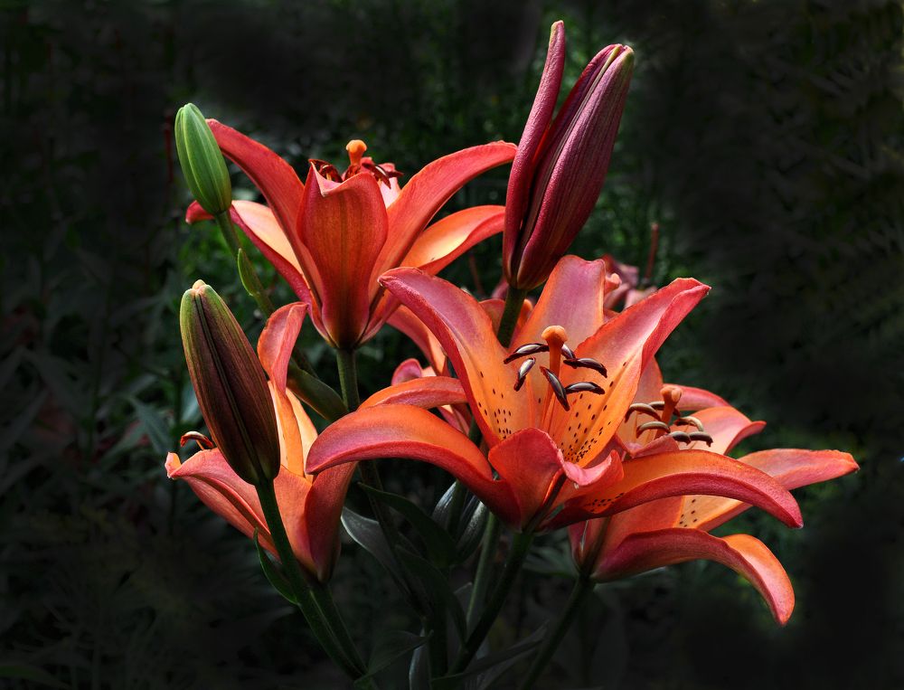 Photograph by Людмила Низова