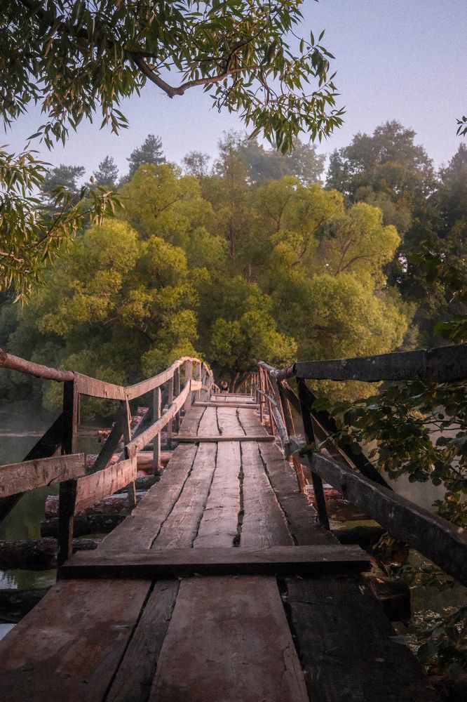 Photograph by Анатолий Вахрушев