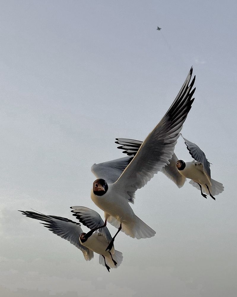 Photograph by Гуляева Светлана