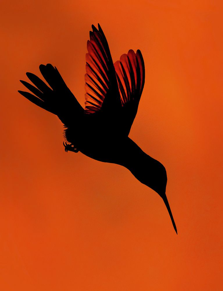 Photograph by Mario Fiorucci