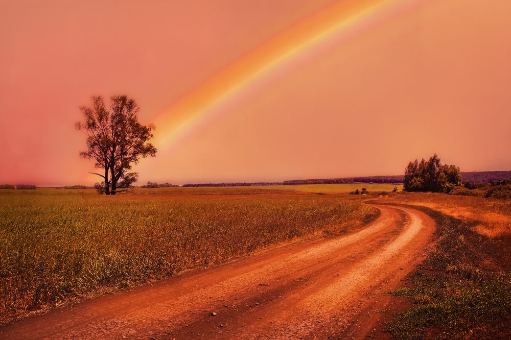 Photograph by Альфия Агзамова