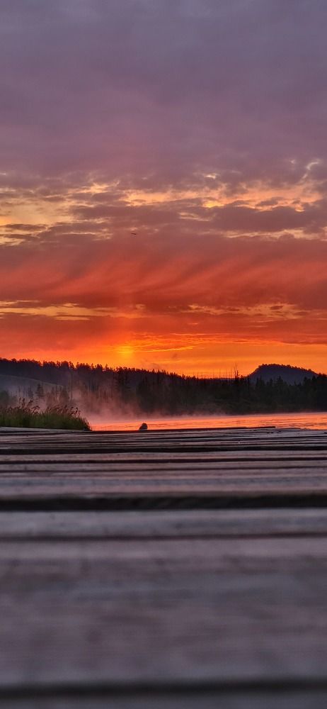 Photograph by Надежда Панкратова