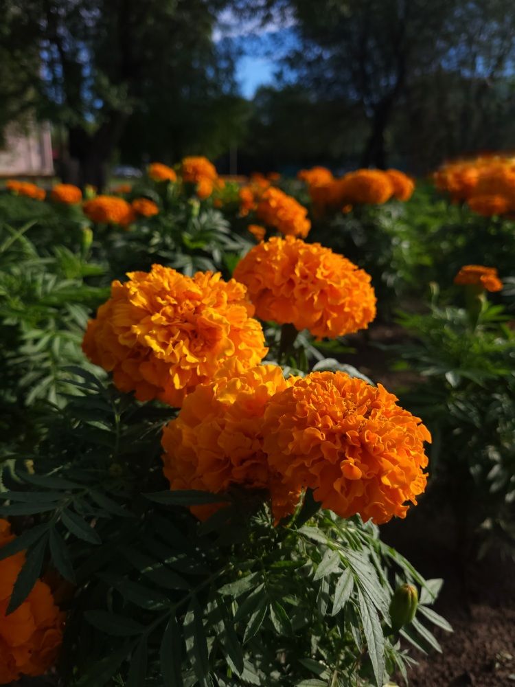 Photograph by Надежда Панкратова