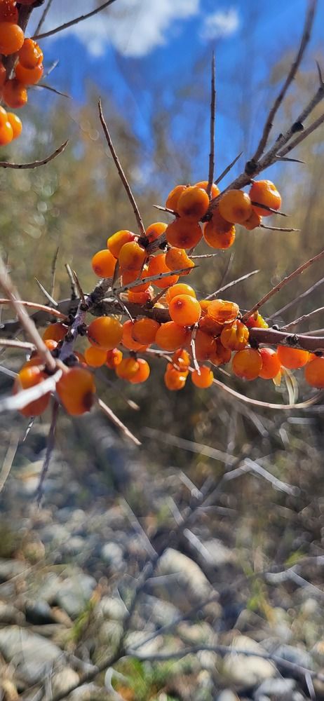 Photograph by Надежда Панкратова