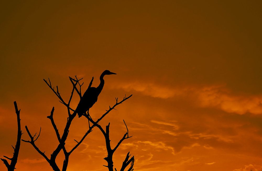 Photograph by Raed Victor Saad