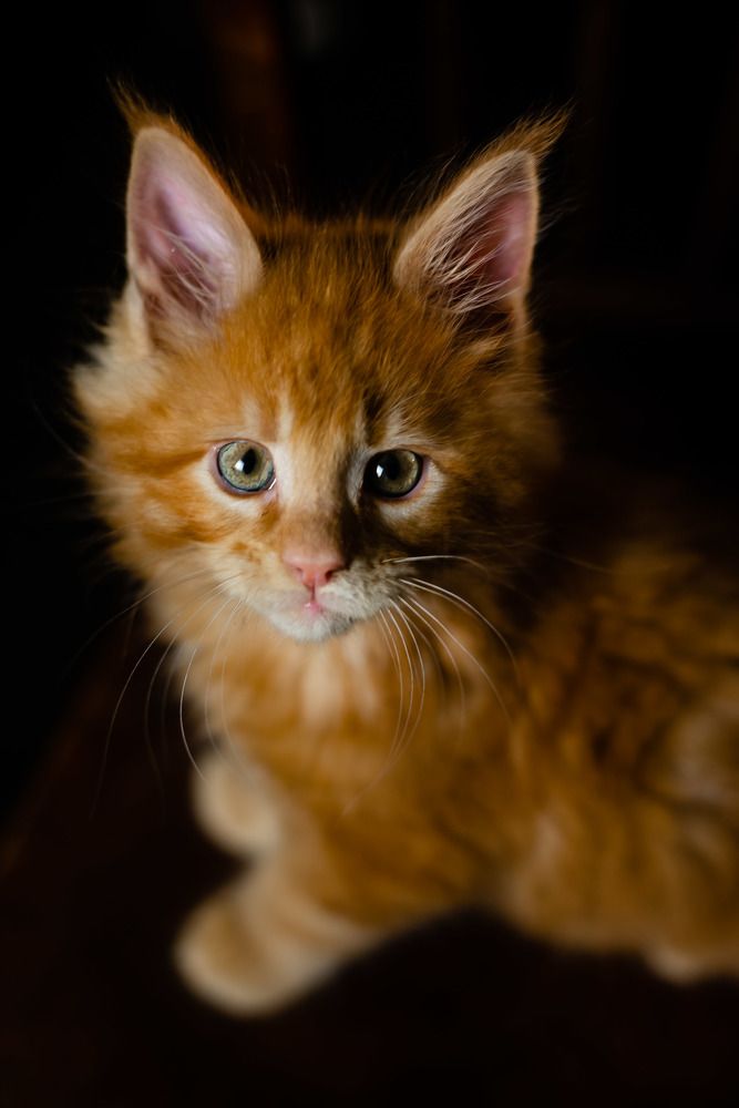 Photograph by Светлана Субботина