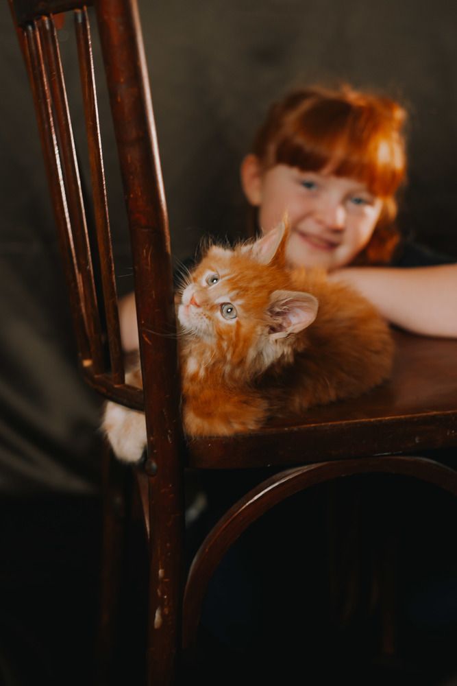 Photograph by Светлана Субботина