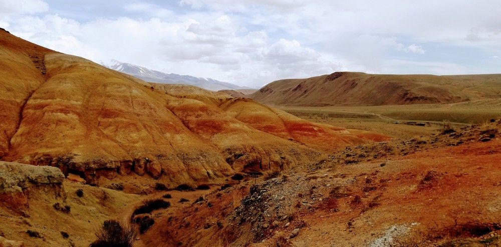 Photograph by Лариса Неудачина