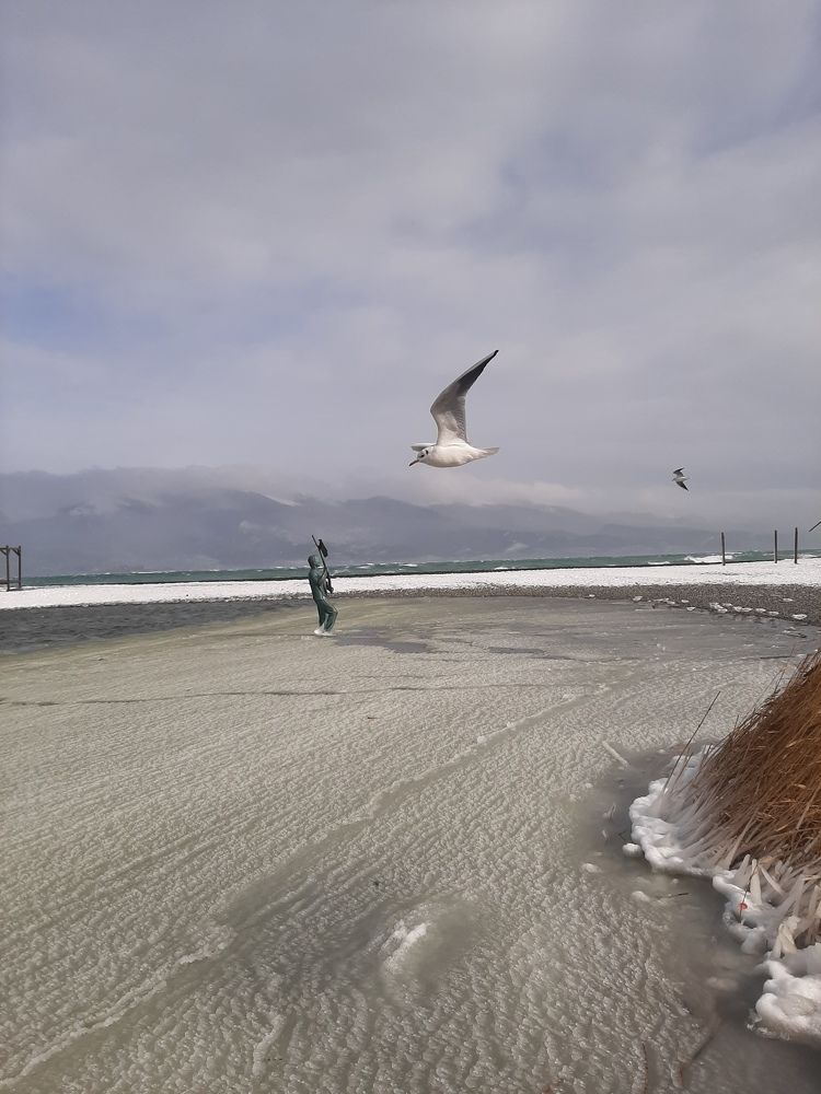 Photograph by Natalya Vasilenko