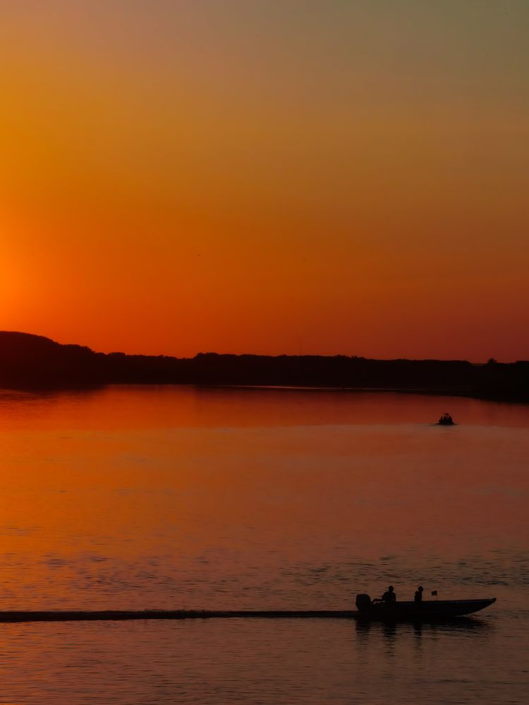 Photograph by Bojana Vein