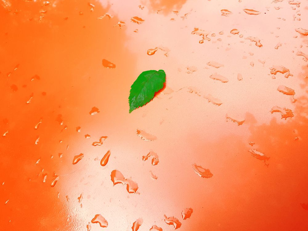 Photograph by Nataliya Kalinina