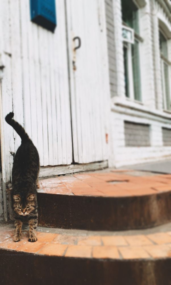 Photograph by Валерия Спирина