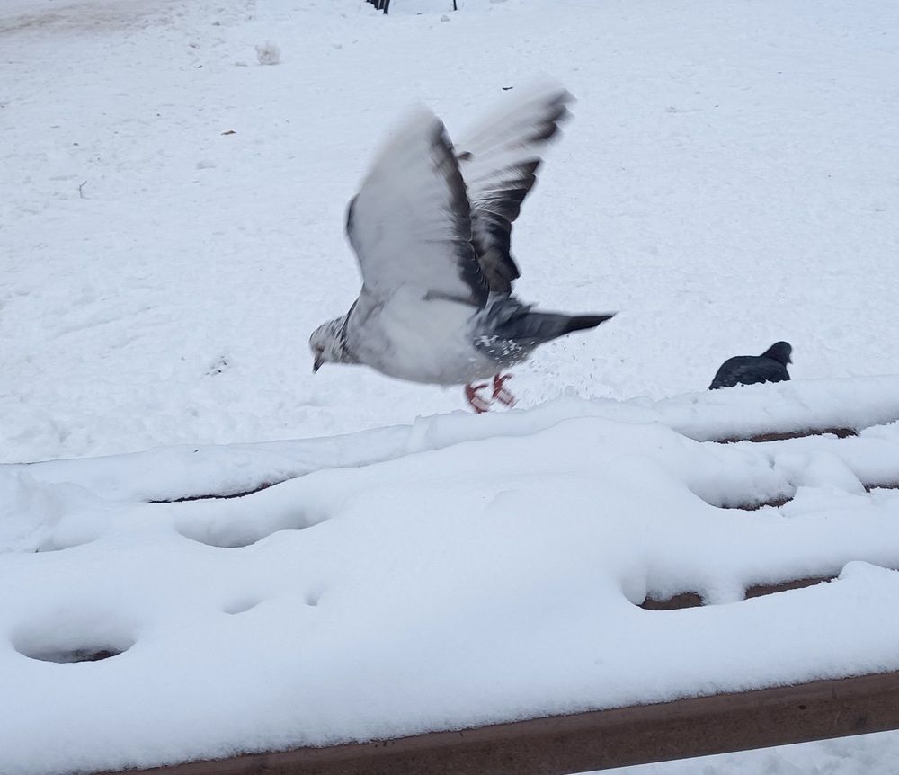 Photograph by Ольга Юрченко