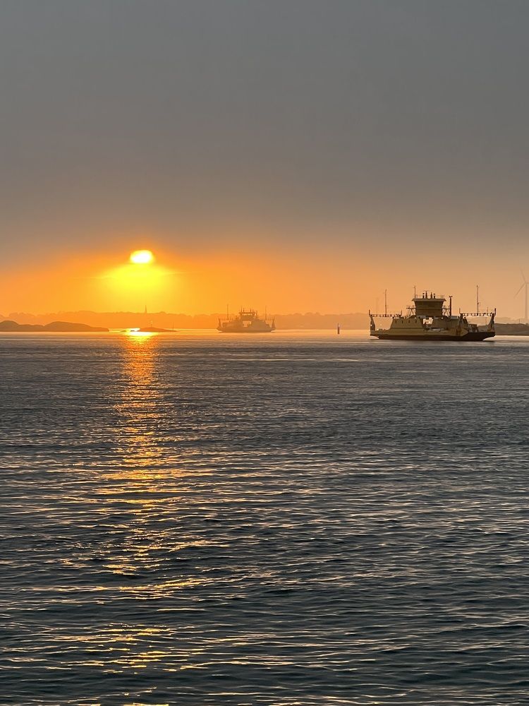 Фотография автора Harun Ali