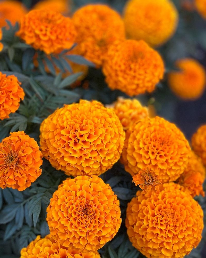 Photograph by Татьяна Волохова