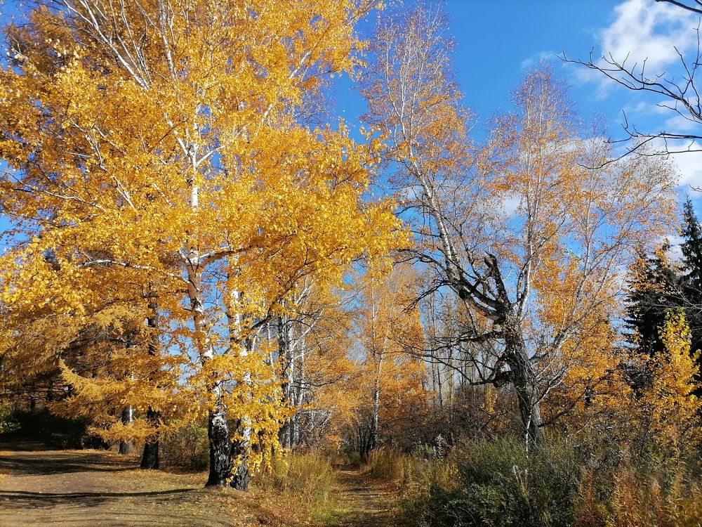 Photograph by Наталья Веряскина