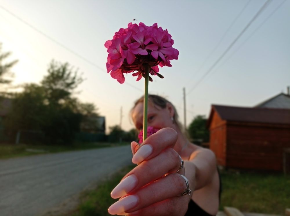 Photograph by Ирина Немкина