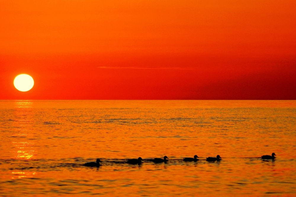 Photograph by 