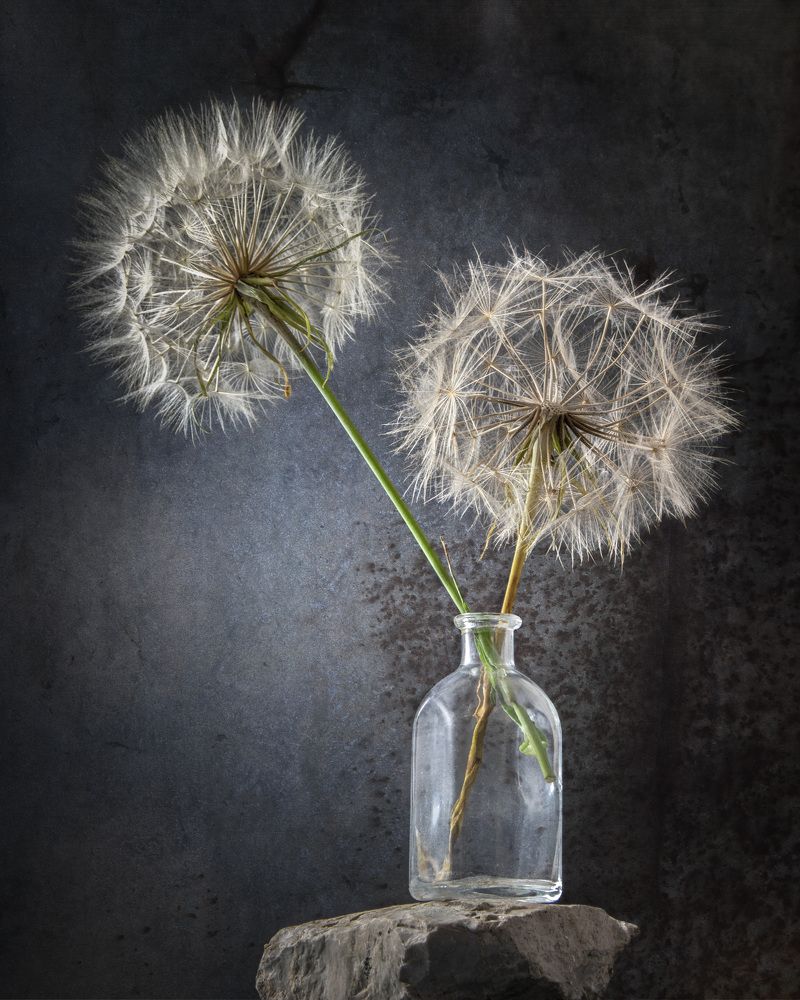 Фотография автора Anna Ilieva-Alikaj