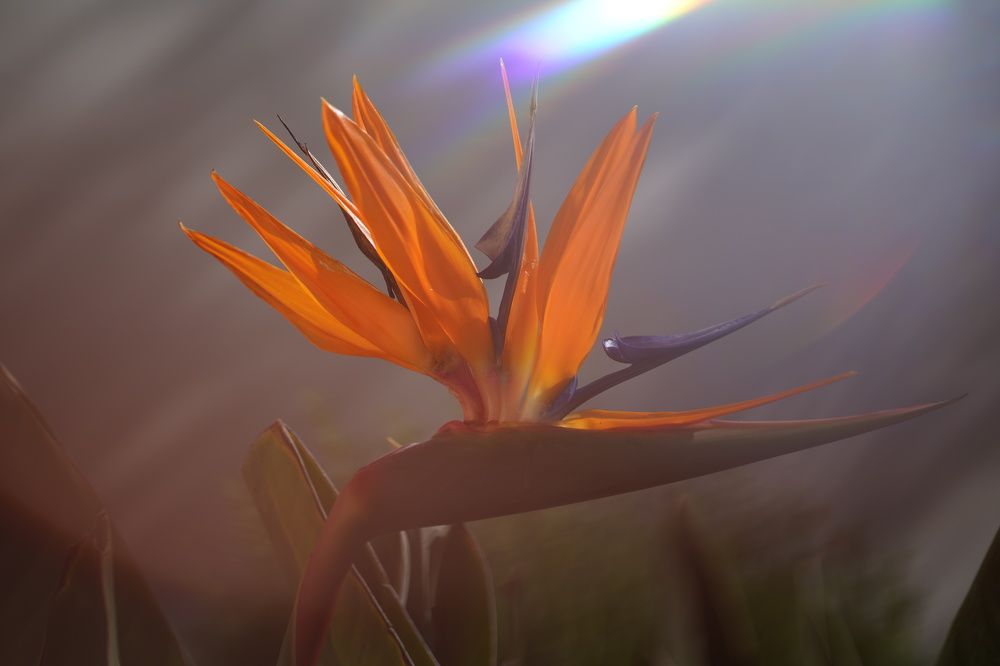 Photograph by Татьяна Пронина