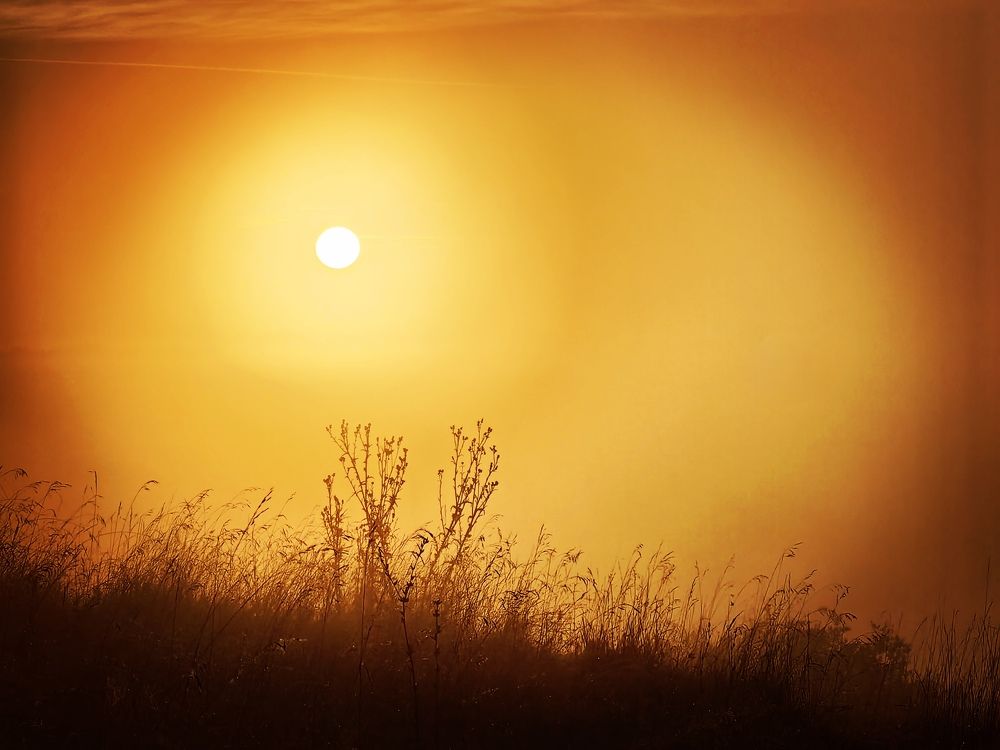 Photograph by Maiya Bulatova