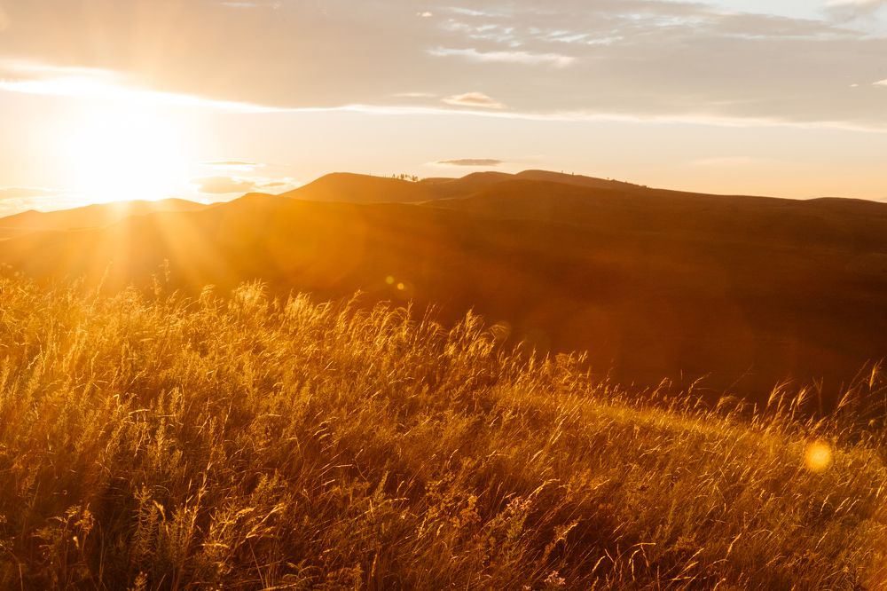 Photograph by Корчагина Оксана