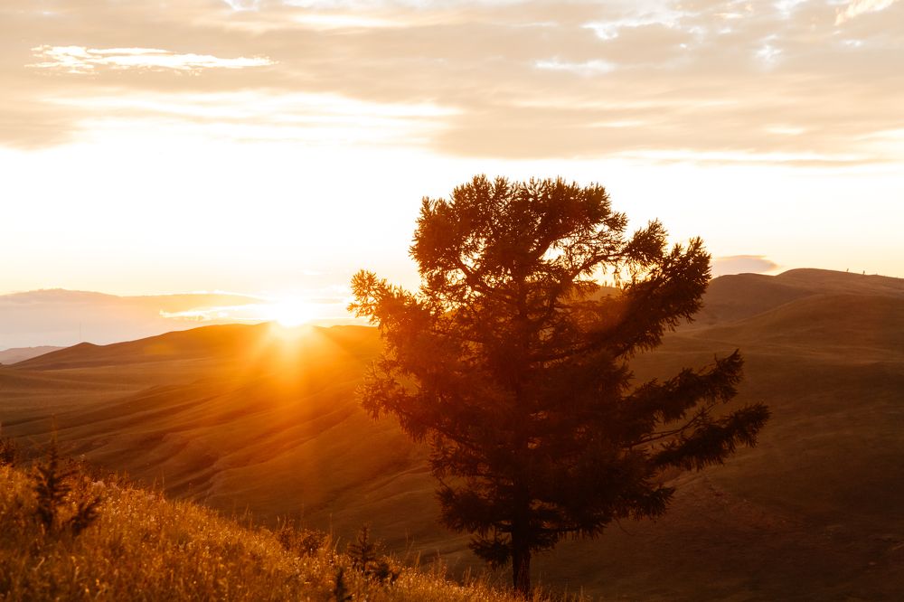 Photograph by Корчагина Оксана