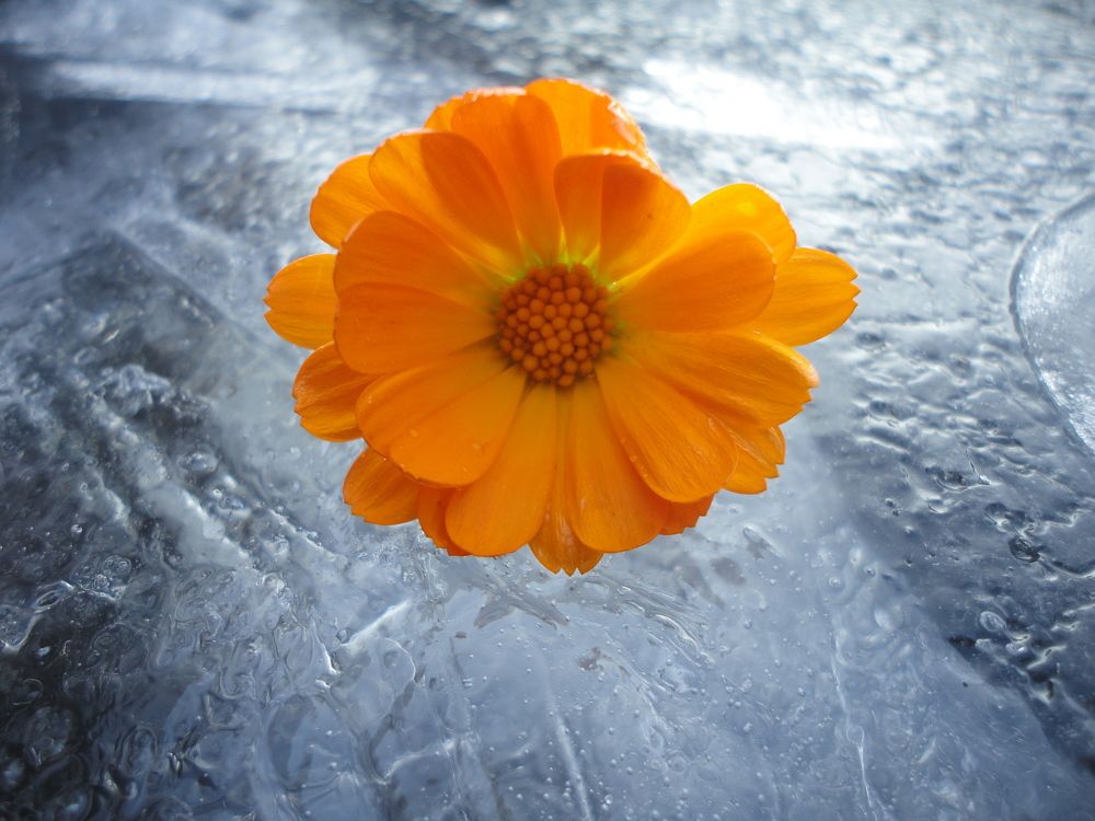 Photograph by Дмитрий Соколов