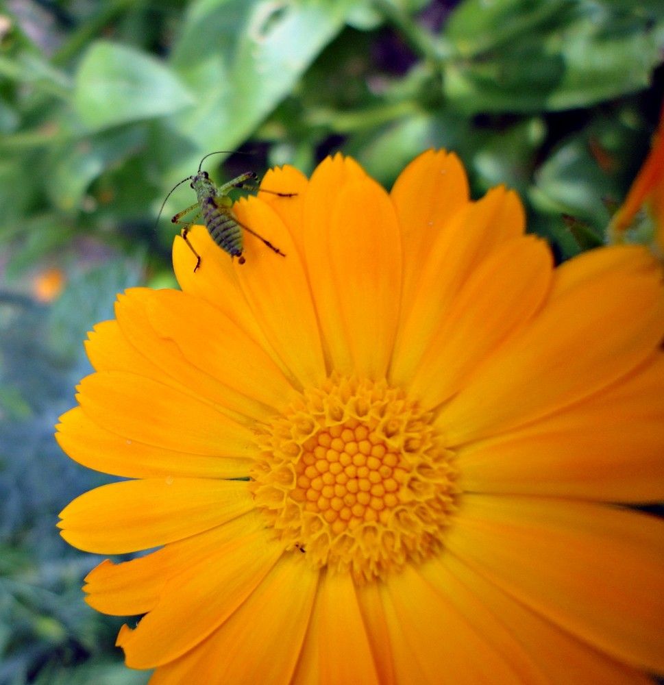 Photograph by Дмитрий Соколов