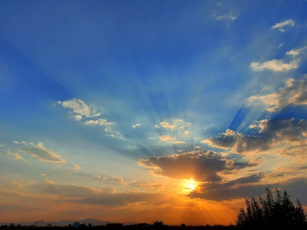 Photograph by Hossein Jafari