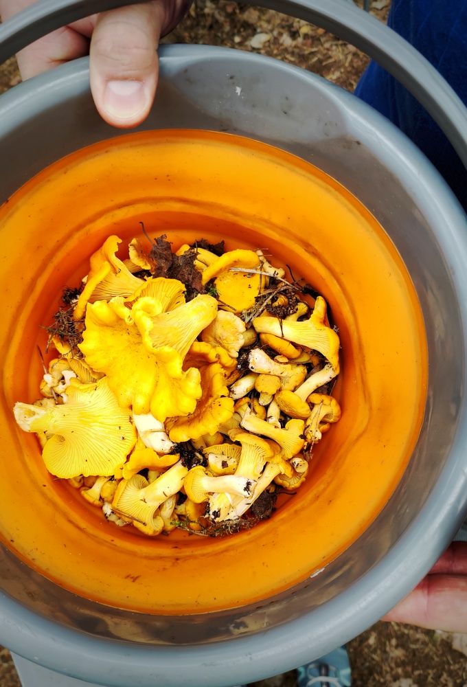 Photograph by Наталья Калюнова