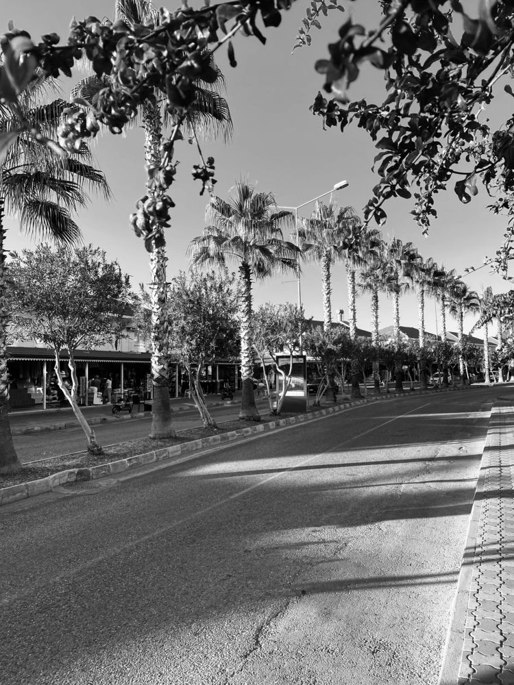 Photograph by Ирина Зенченко