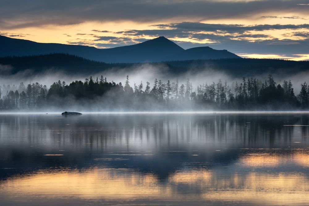 Photograph by Елена Вторушина