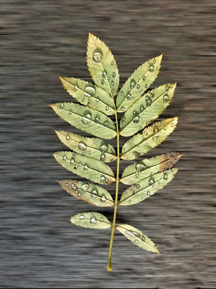 Бесконечность