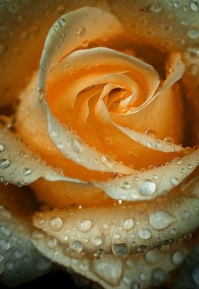 Photograph by Екатерина Гордеева