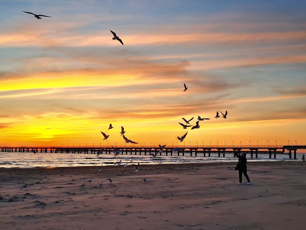 Золотой закат