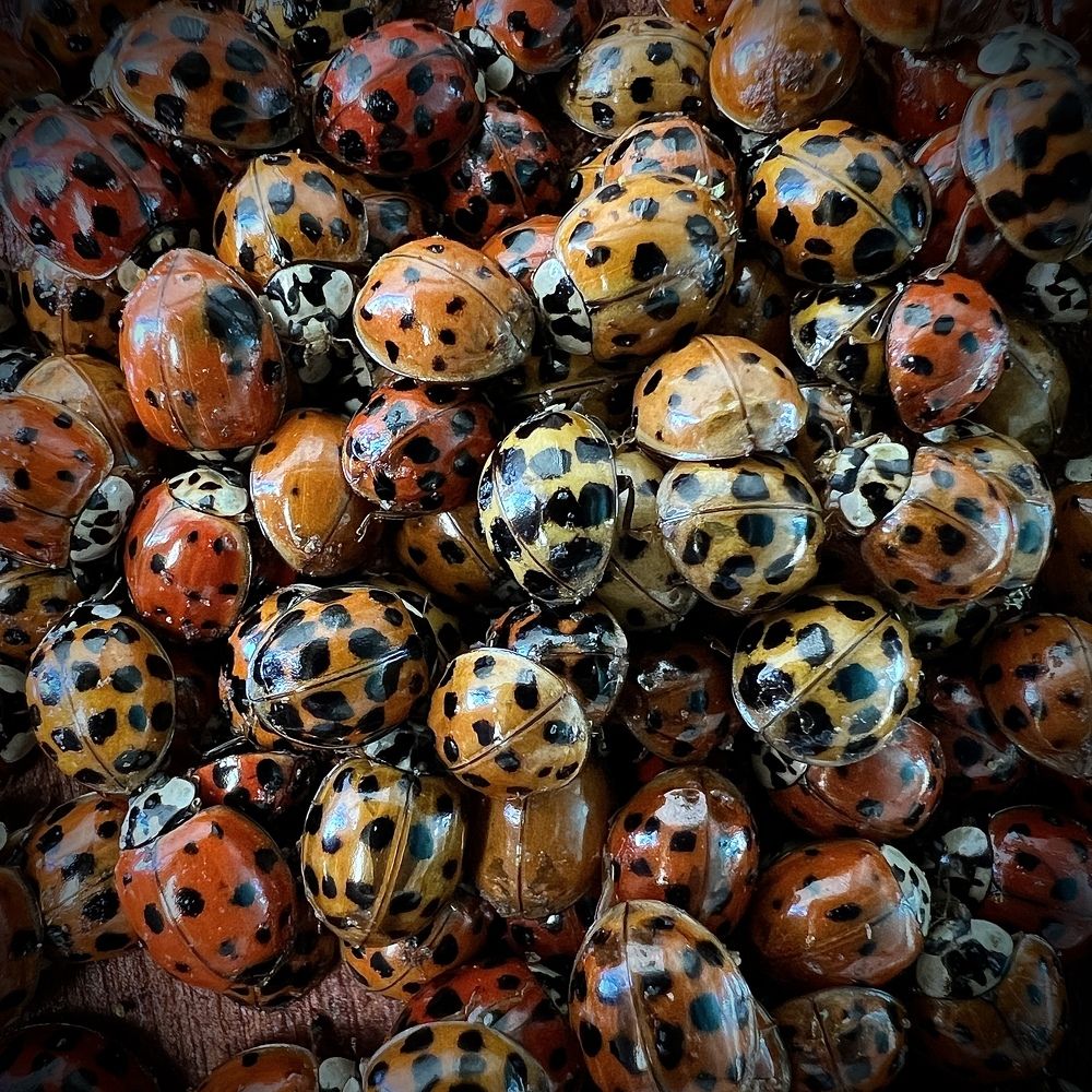 Photograph by Andrew Becker