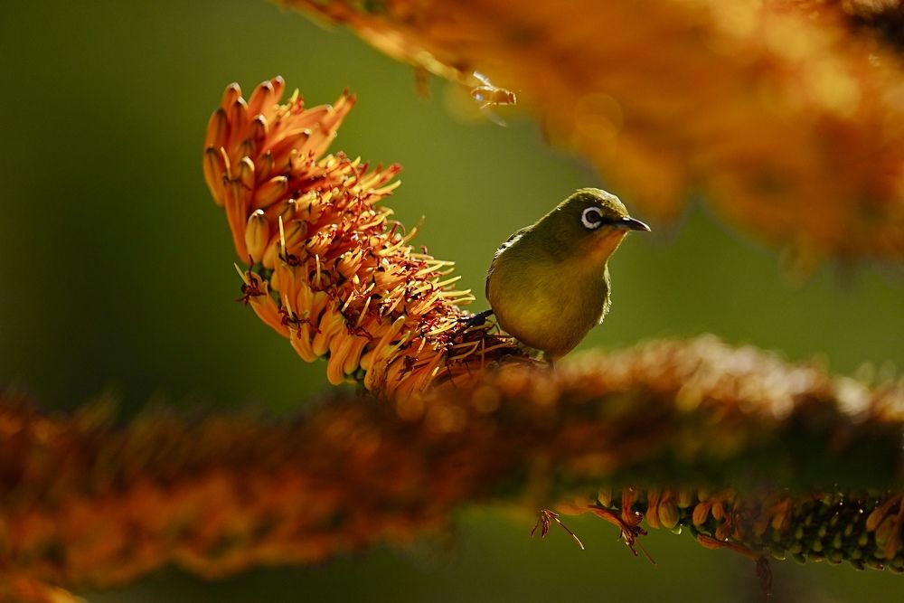 Photograph by Andrew Becker