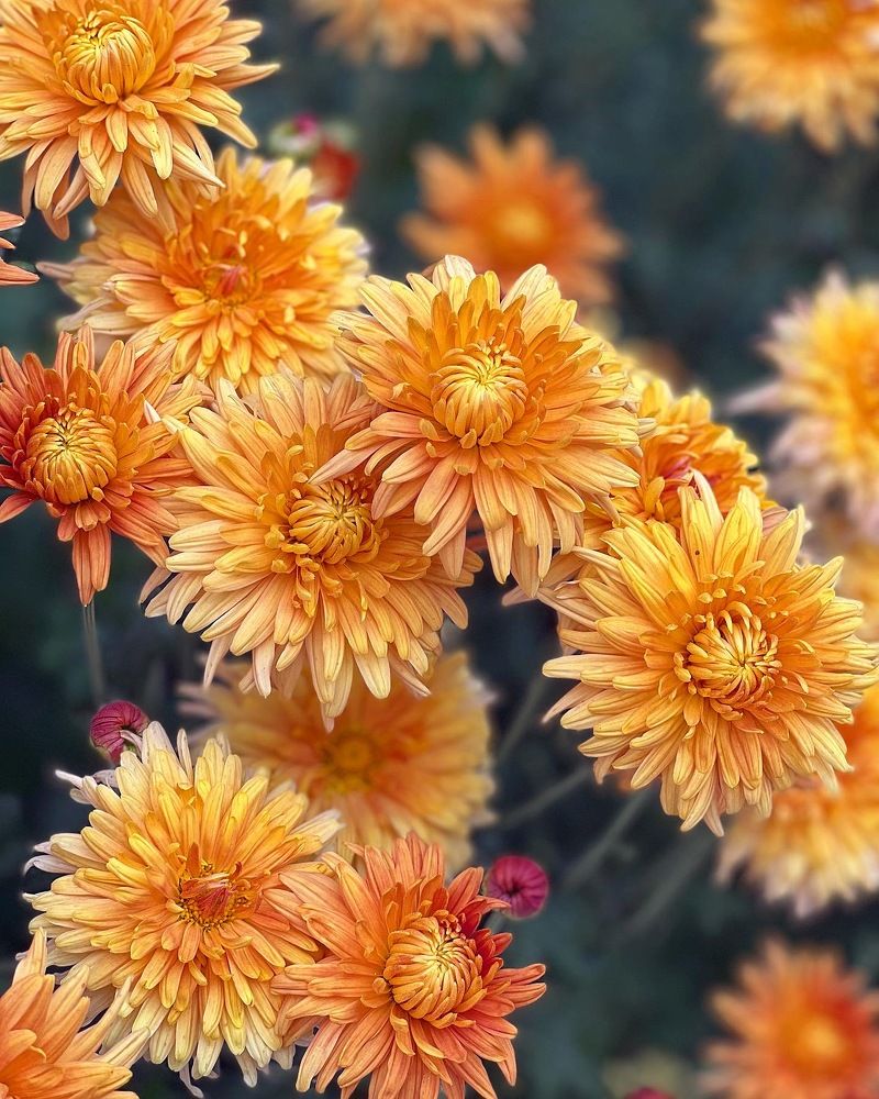 Photograph by Татьяна Волохова