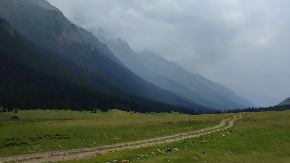 Photograph by Юлия Гинтер