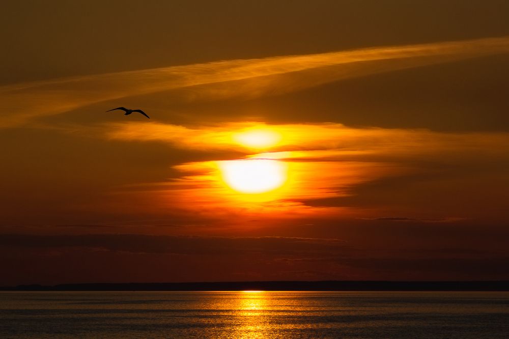 Photograph by Дмитрий Карасев