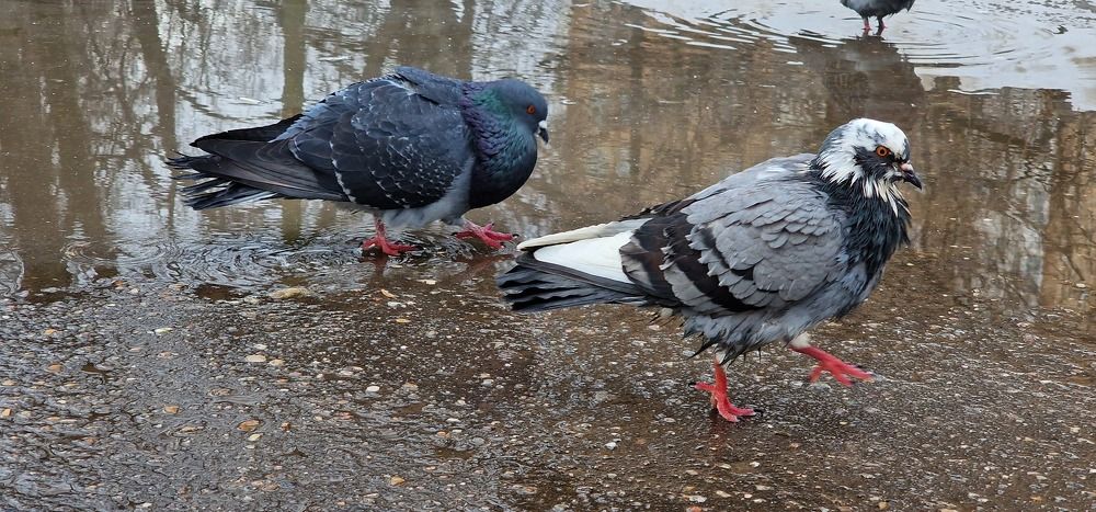 Фотография автора Ольга