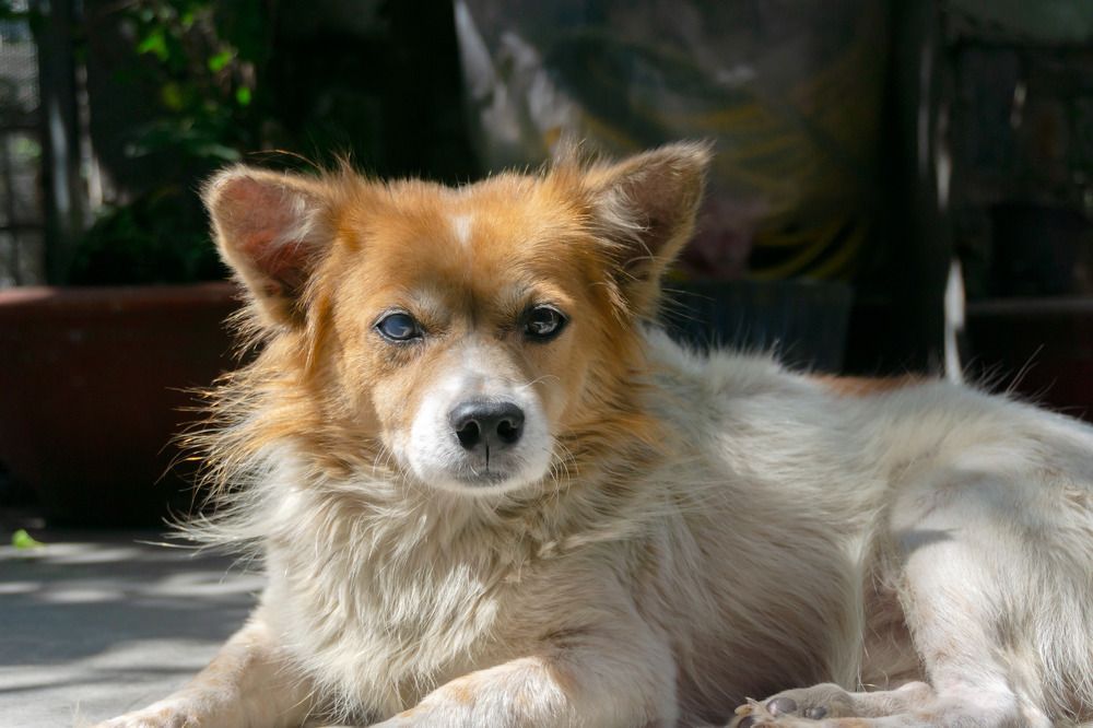 Photograph by Thong Tran Quoc