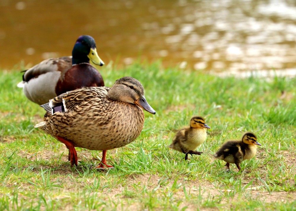 Photograph by Мария