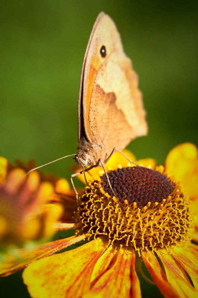 Photograph by Anatoli Weingart