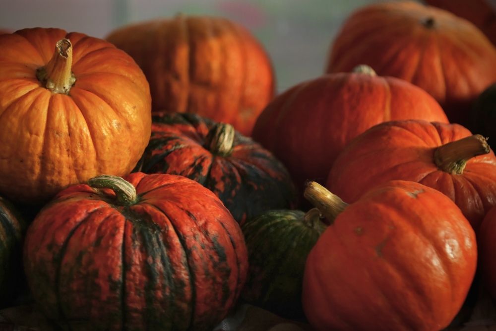 Photograph by Елена Ковалева