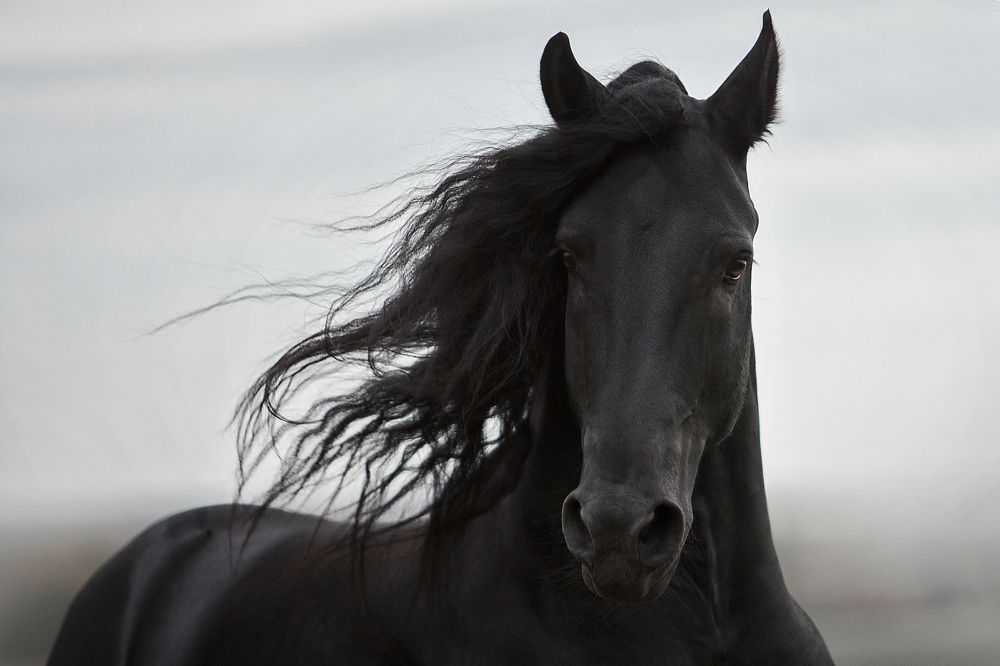 Photograph by Дарья Ералева